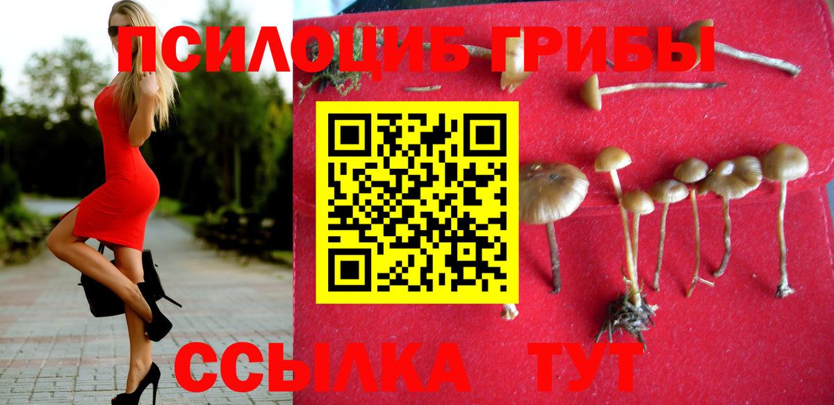 МЕТАДОН Камышин