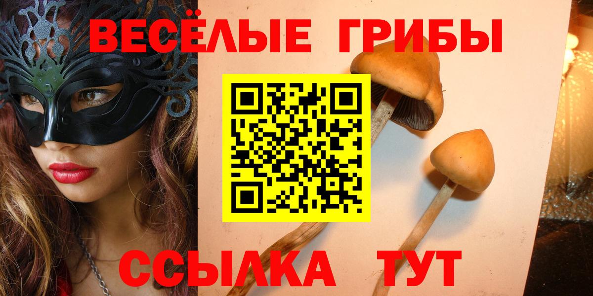 Псилоцибиновые грибы прущие грибы Камышин