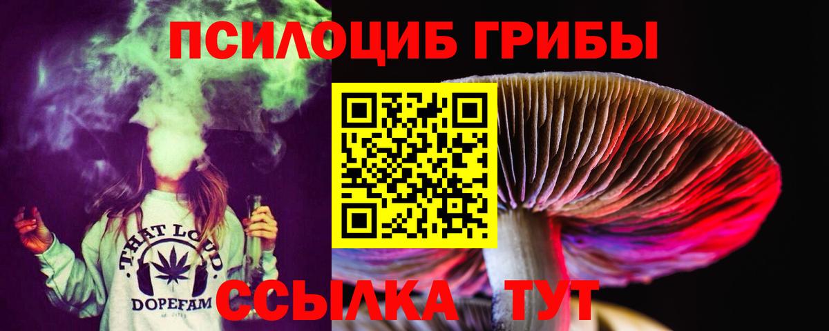 Камышин  Галлюциногенные грибы Magic Shrooms  Вход с VPN  Псилоцибиновые грибы Psilocybe 